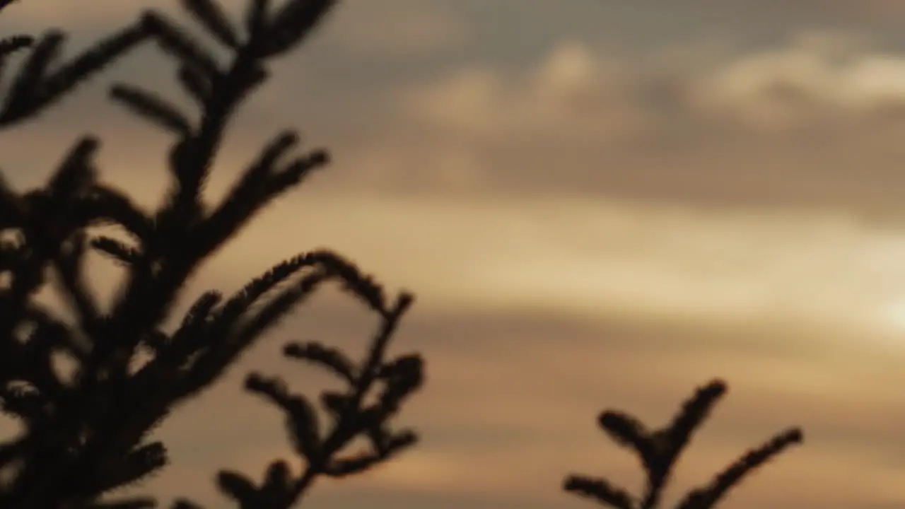 Sunset in the smoky mountains panning across the sky