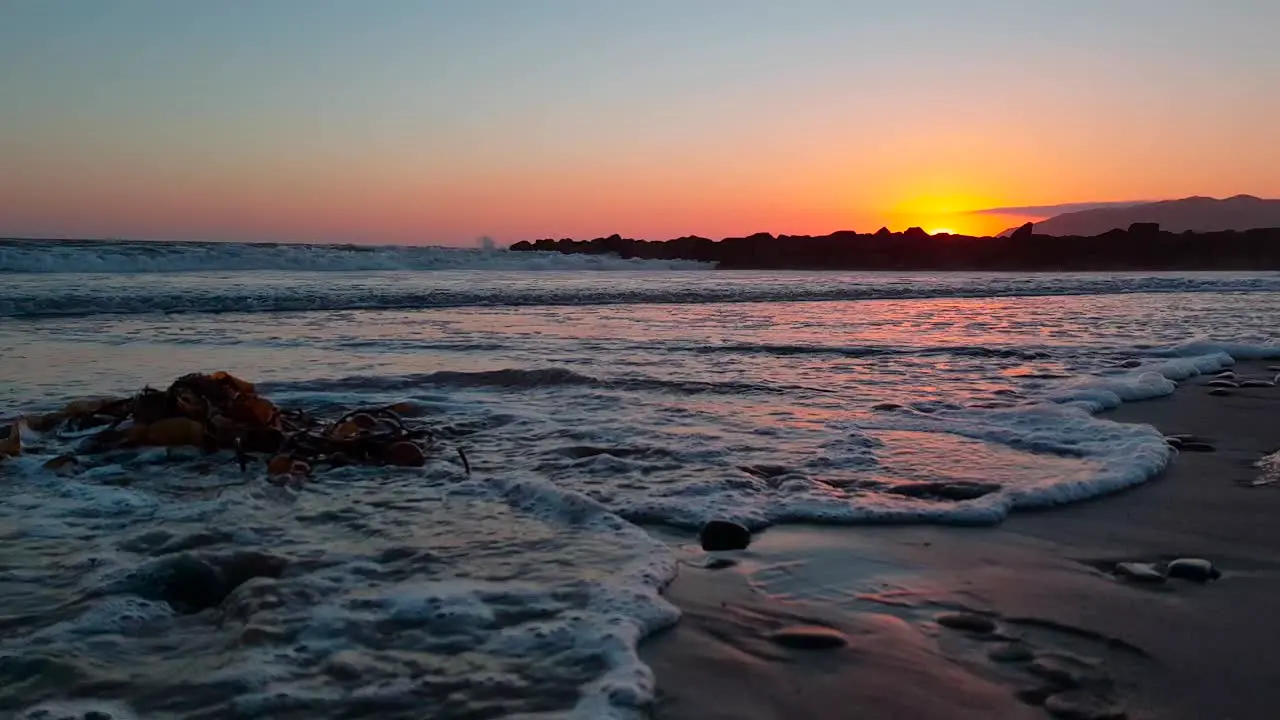 Low dolly shot of seaweed on beach during sunset with sunlight reflecting beautifully on the sand and waves coming in at San Buenaventura State Beach in Ventura California USA