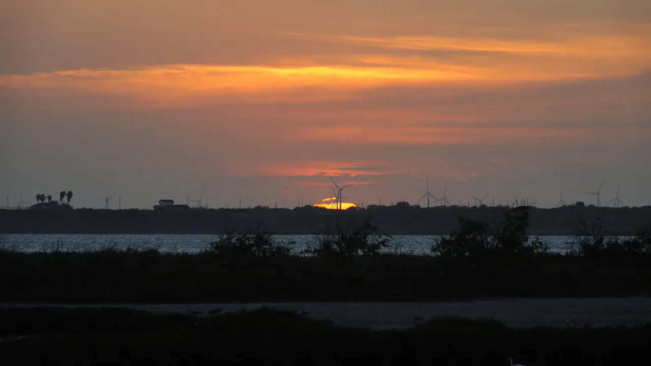 Sunset over Texas wind farm