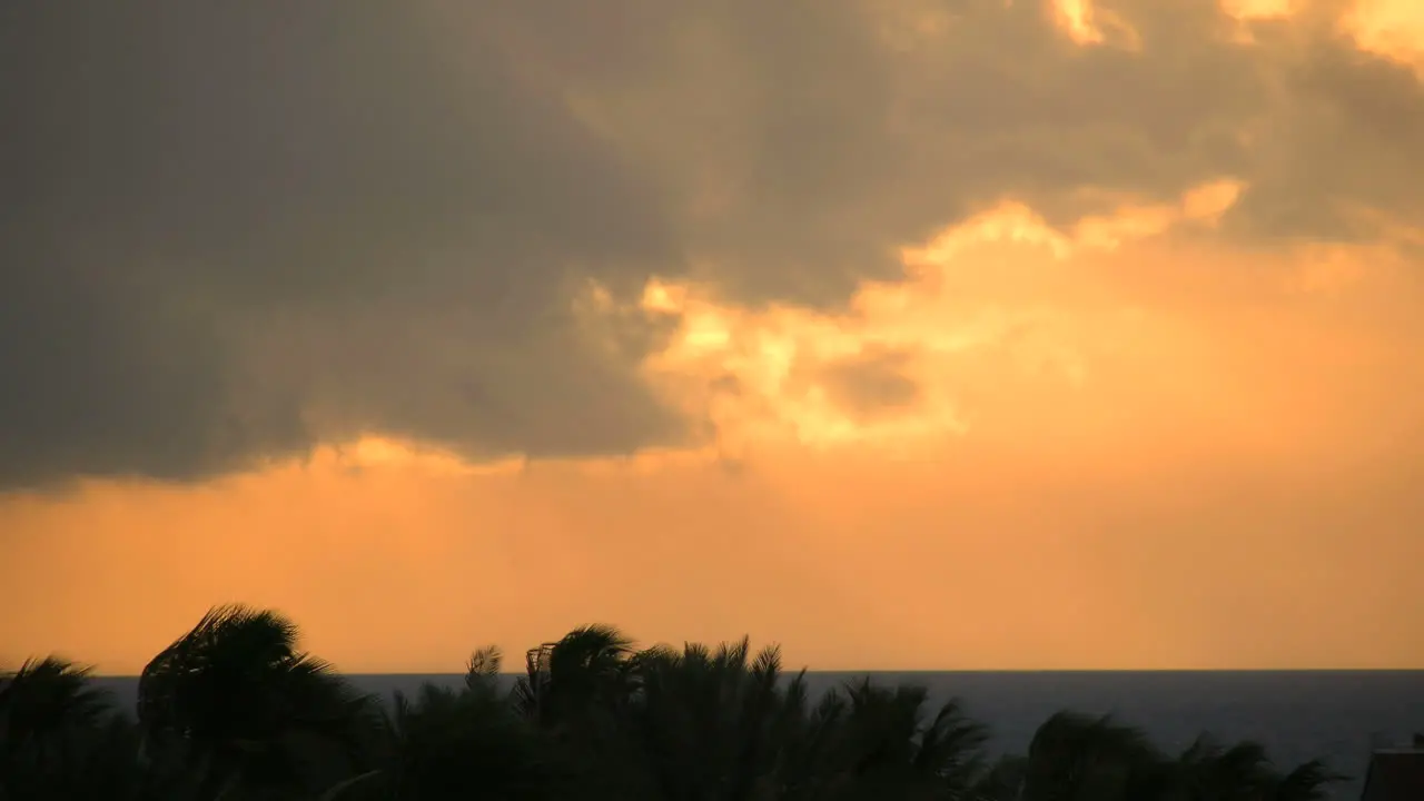 Florida Key West Golden Sunset Clouds And Palms