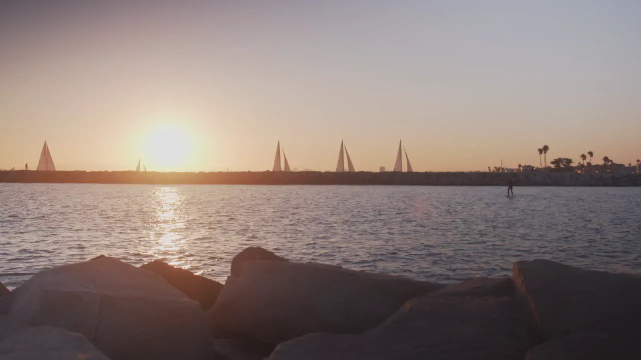 Sailboats and a paddleboarder in a Pacific canal