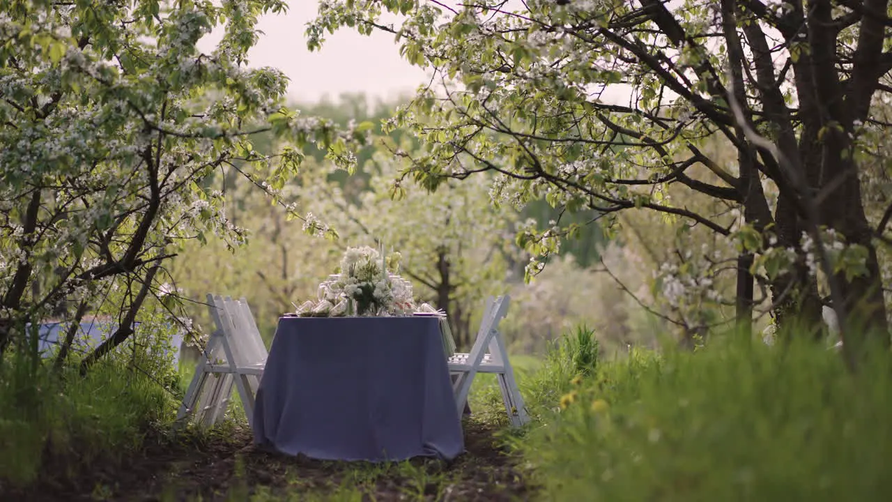 romantic atmosphere of wedding feast in blooming orchard in spring table with meals and flowers