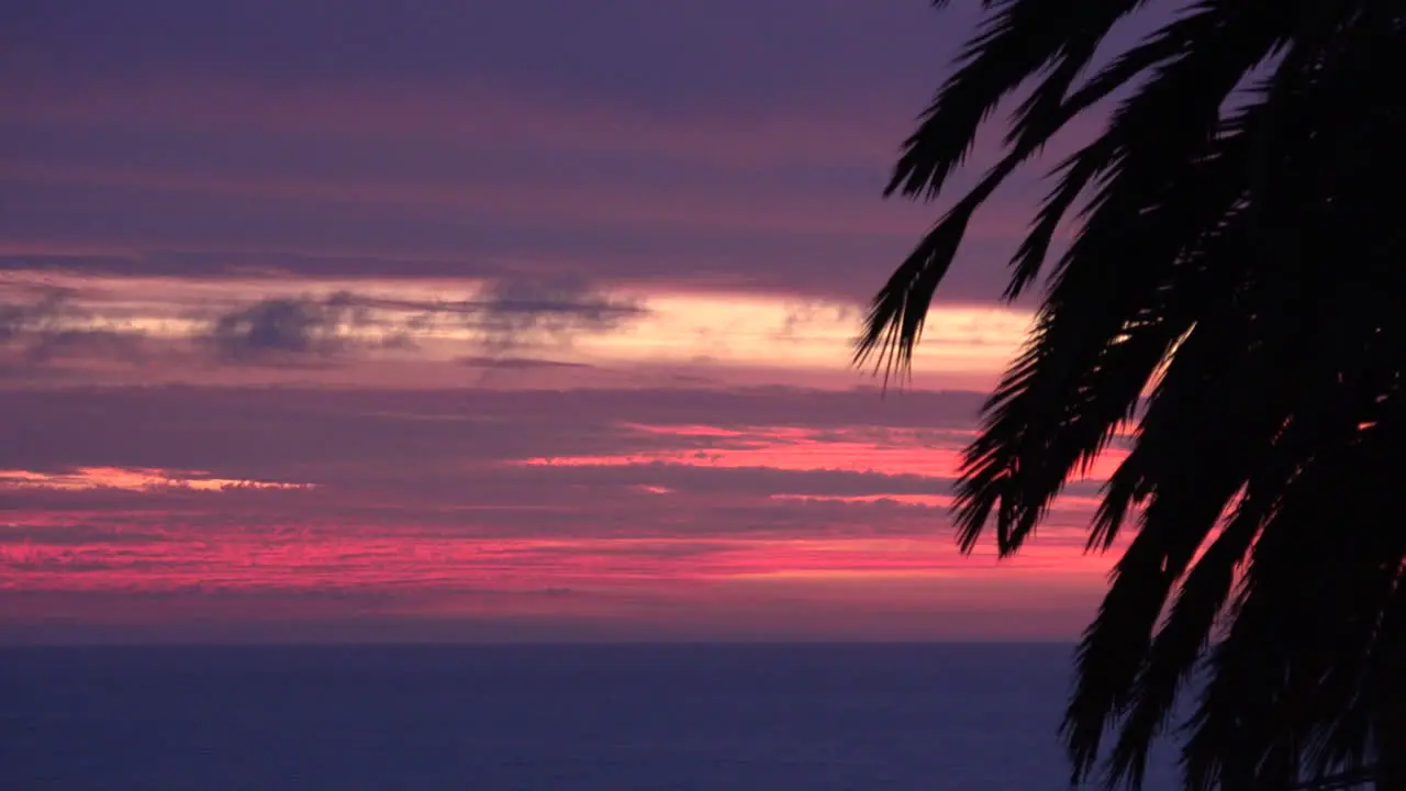 Chile Sunset And Palm Time Lapse