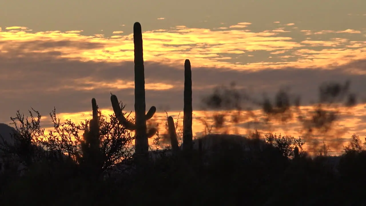 Arizona Mountain Sunset Pan