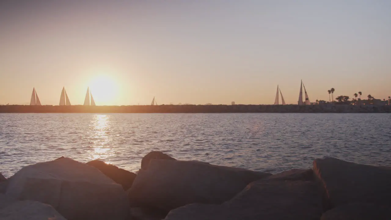 Returning sailboats against a golden sunset