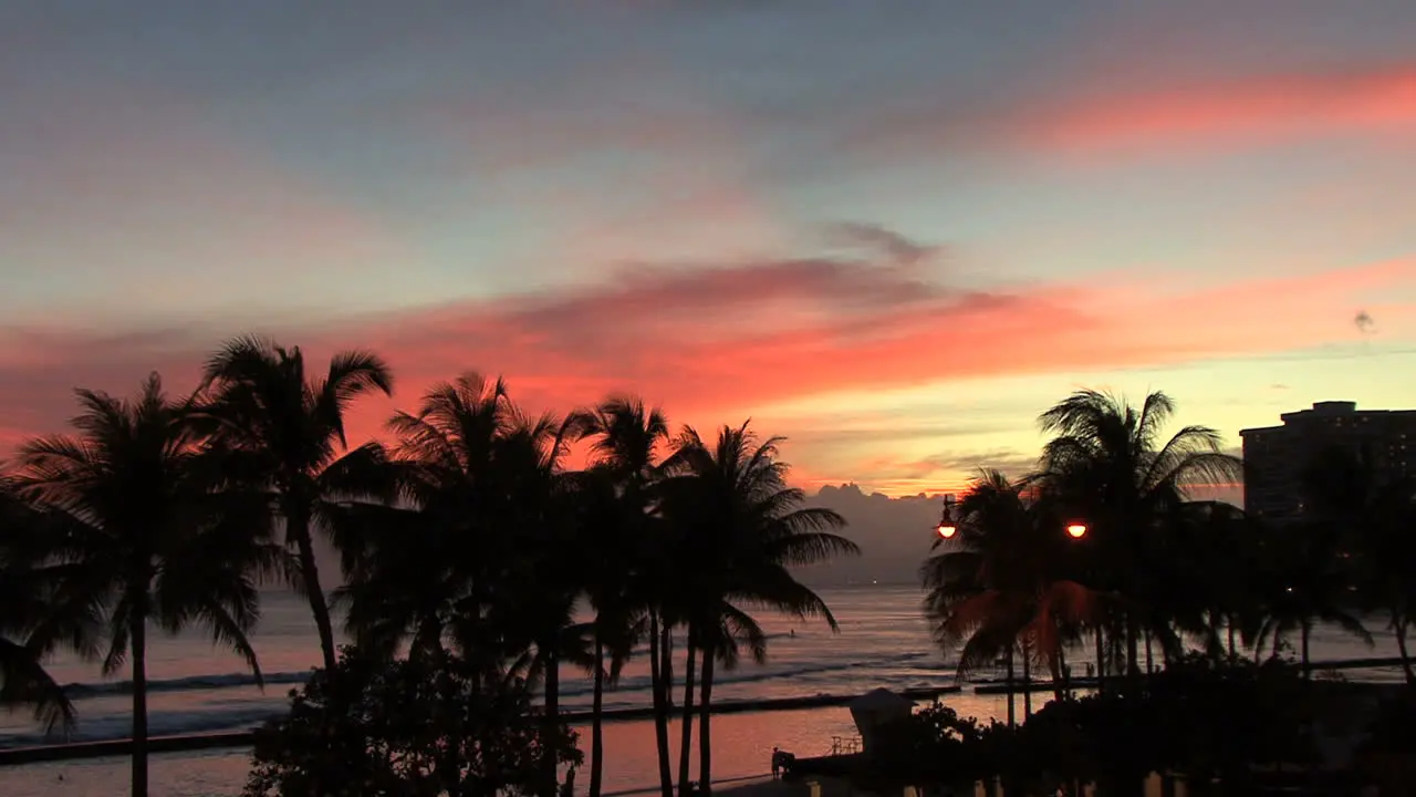 Waikiki pink sky and palms