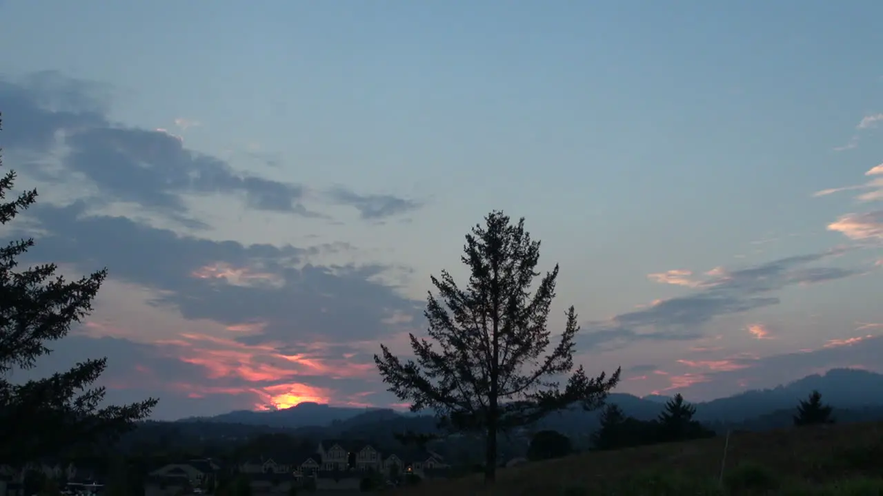 California Sunset With Trees