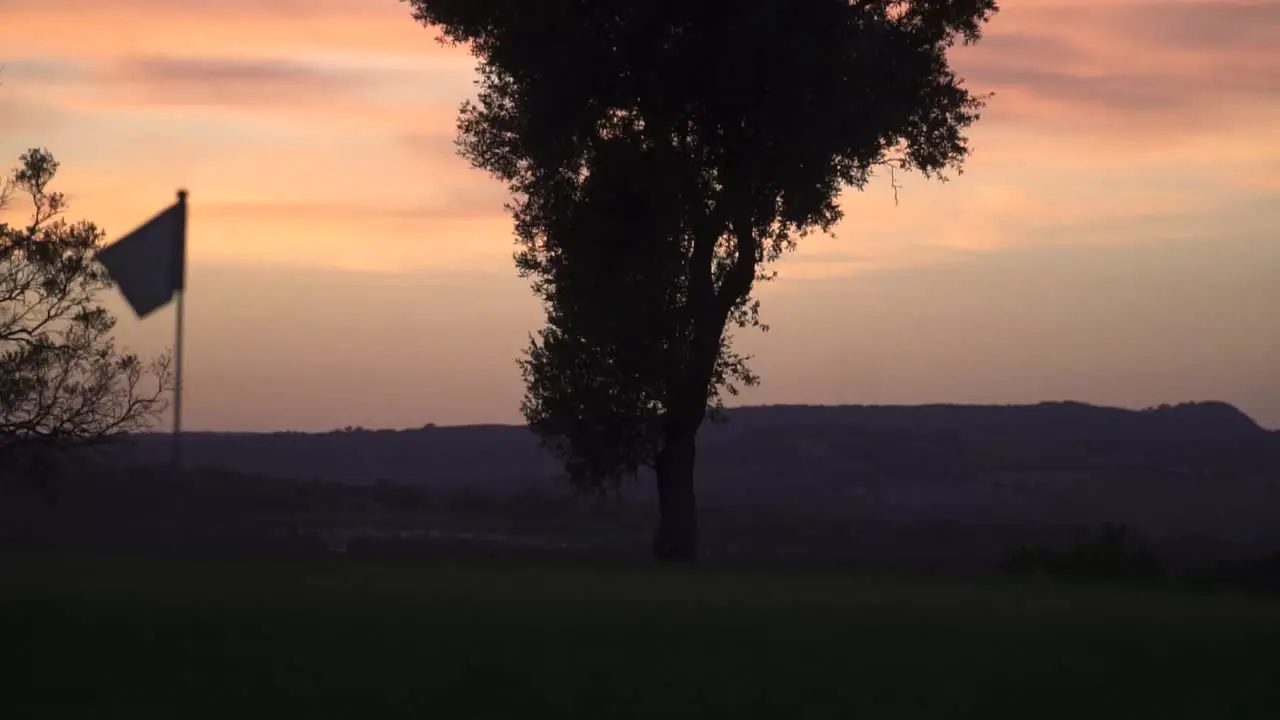 Silhouette of a tree in the middle of the golf court during golden hour