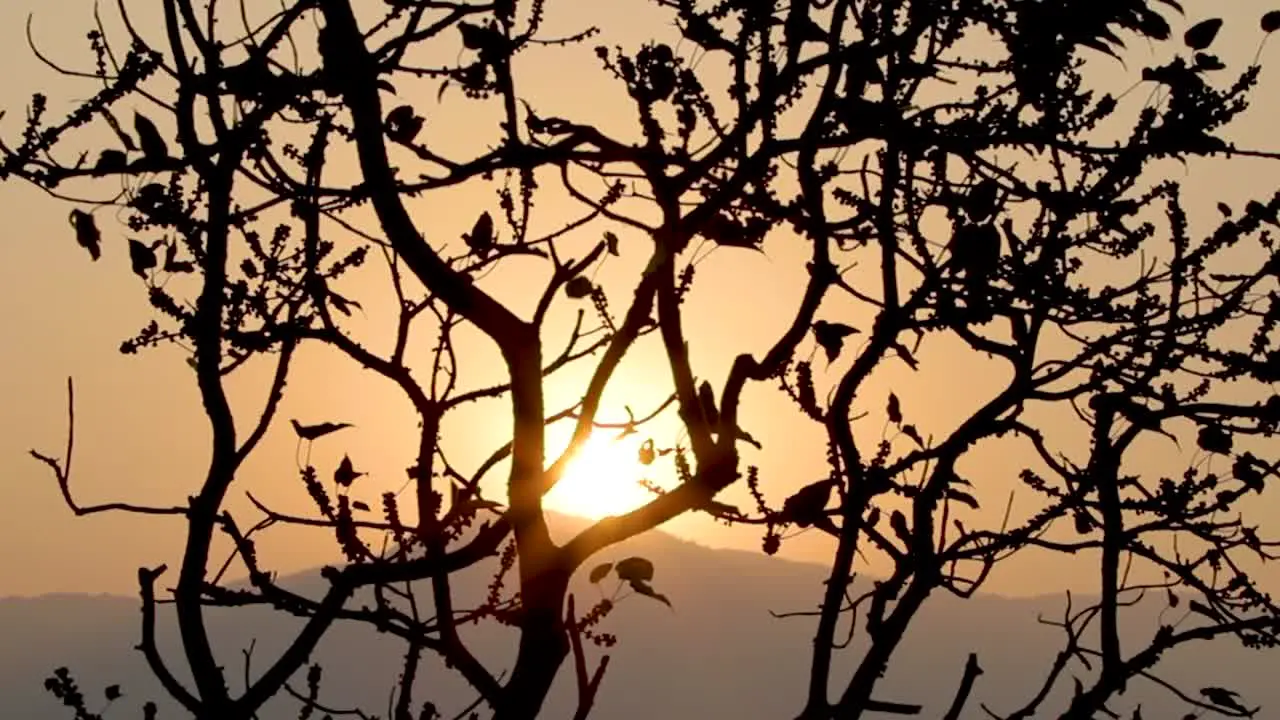 Sunshine shot at bisle ghat KA India