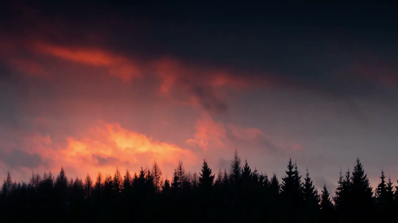 Time lapse footage of a sunset over tree tops