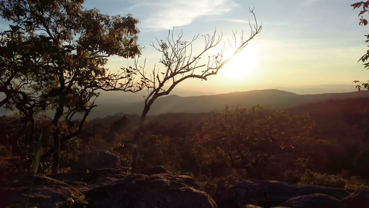 Pan shot of silhouette trees against golden hour sky above mountains on horizon