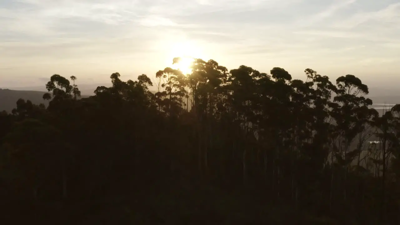 Sunset With Trees In Foreground