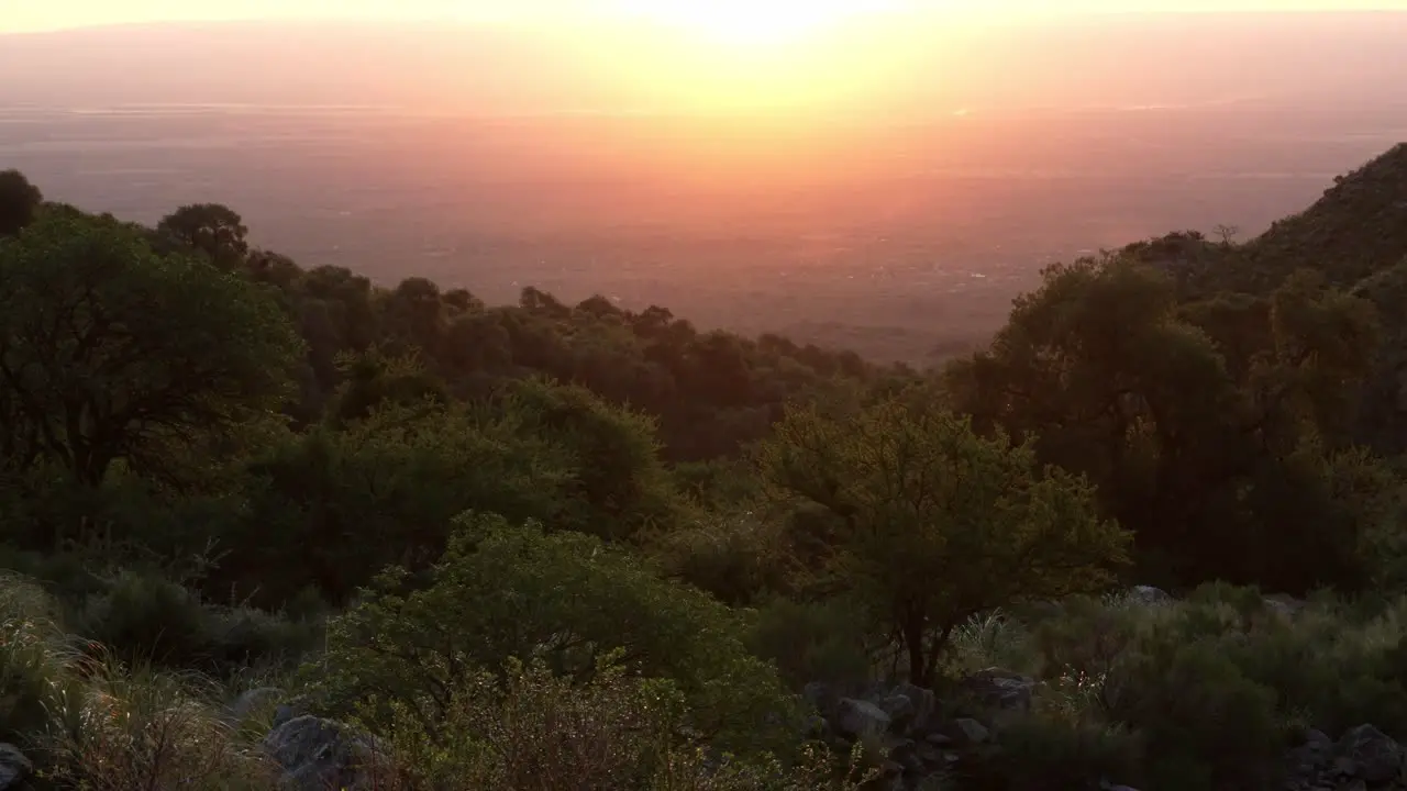 Beautiful sunset with mountains and forest