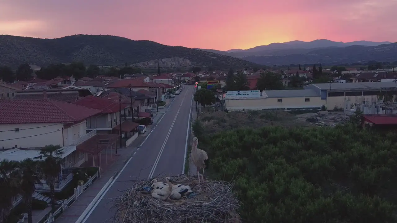 Stork with babies and the sunset over the mountain of Vorras in Greece