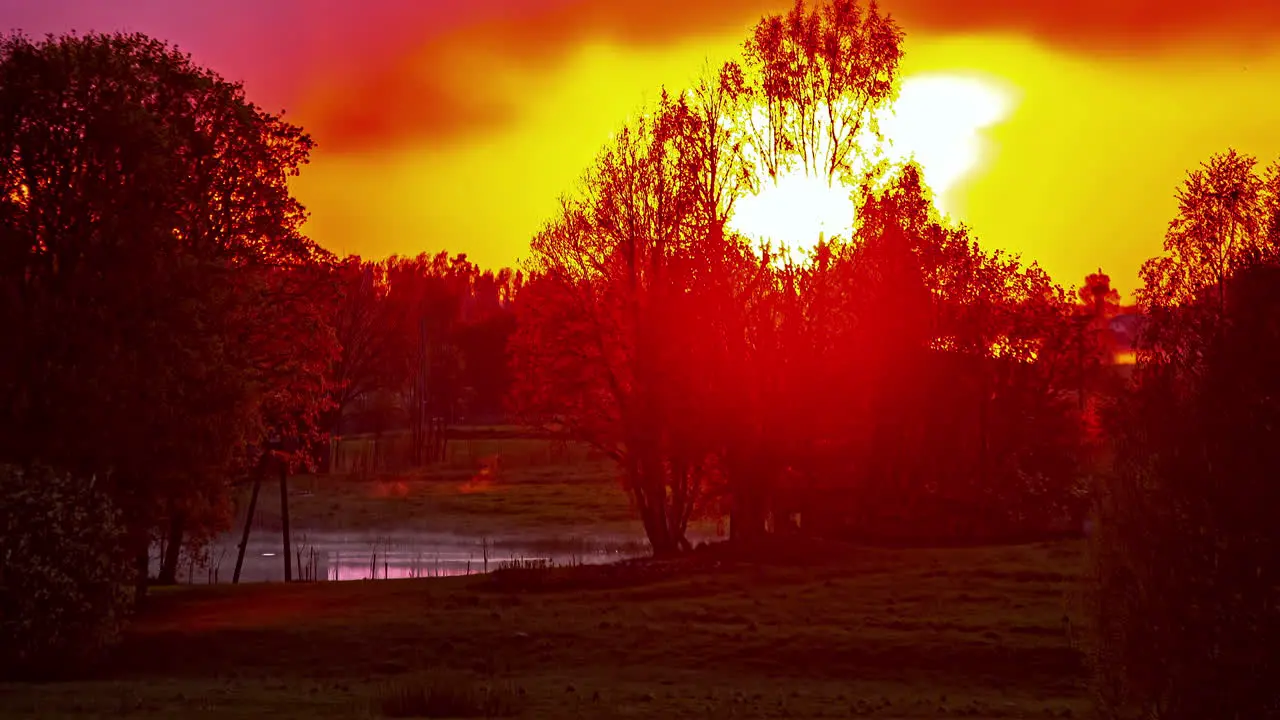 Timelapse sun and clouds moving quickly behind trees in nature