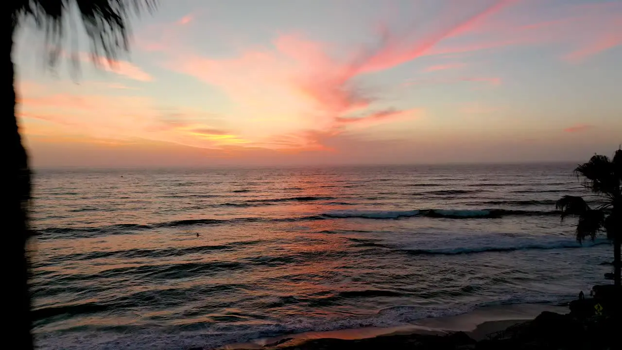 Incredible image of drone flying between two palm trees at San Diego beach