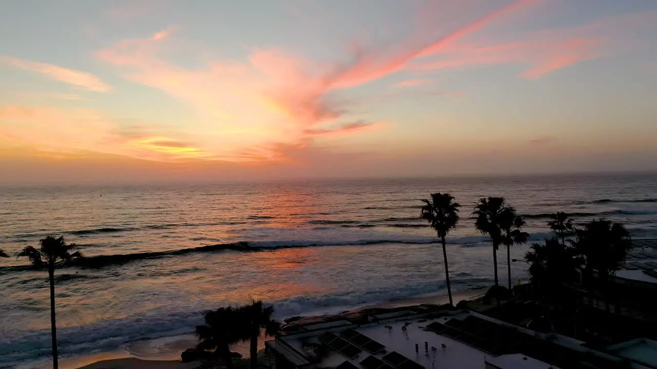 Sunset and palm trees aerial shot of California beach during golden hour