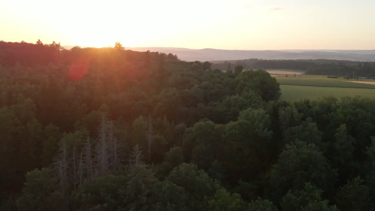 Circular flying drone footage over a huge forest and meadows at an orange sunset with mountains in the background