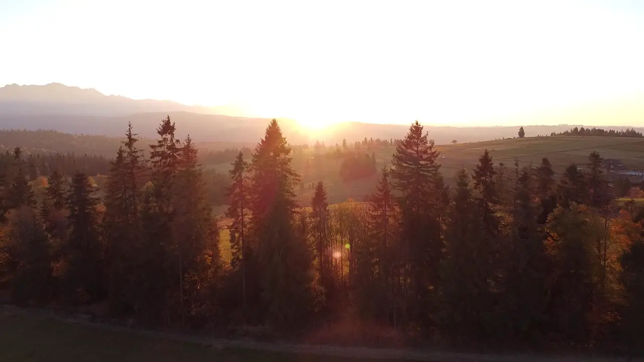 flying through trees during stunning sunset