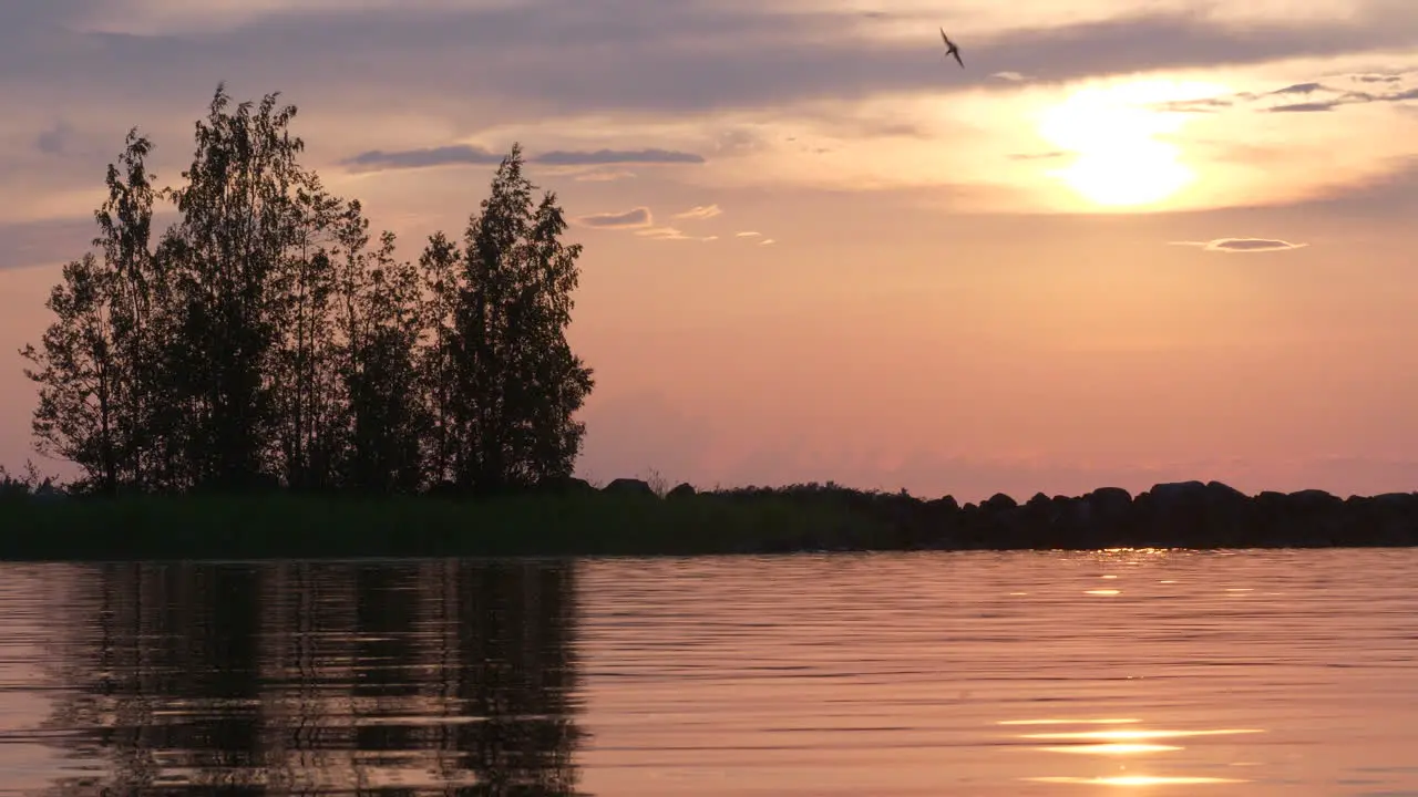 Calm lake at sunset bird nose dives into water