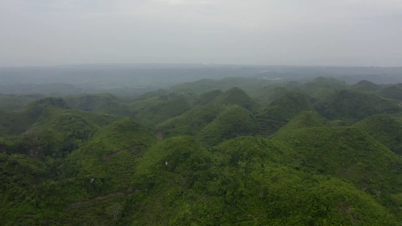 Slow drone video over green exotic jungle in foreign country-1