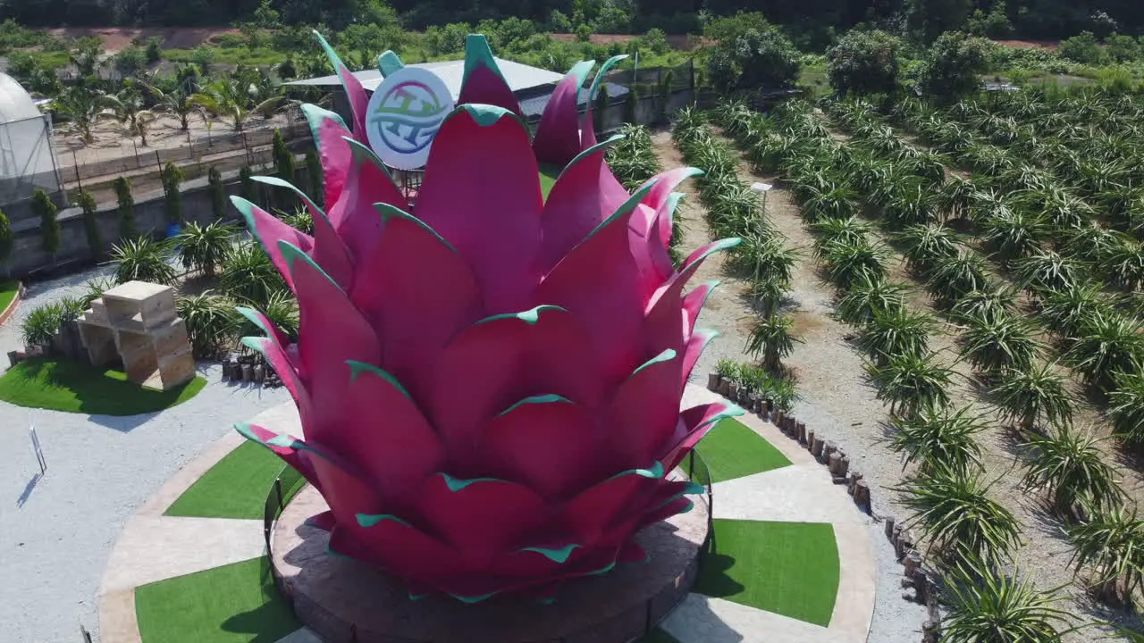 Drone View of a dragon fruit statue in a dragon fruit orchard in Bagan Lalang