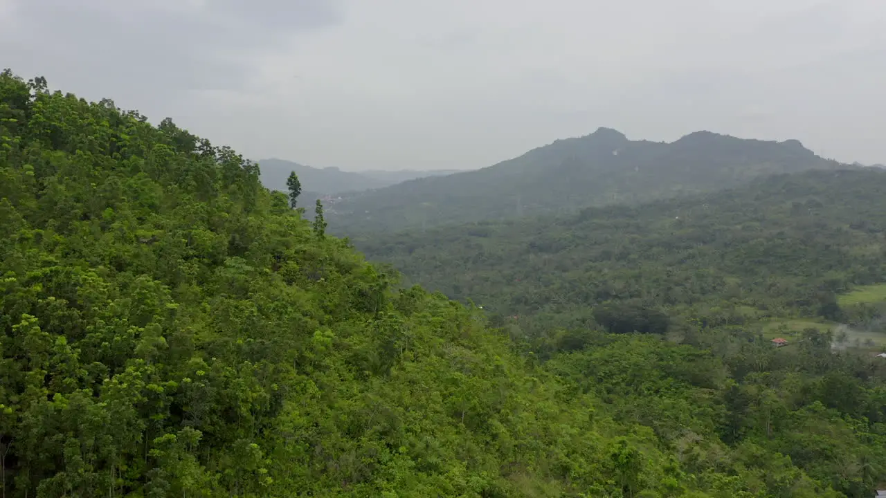 Slow drone video over green exotic jungle in foreign country