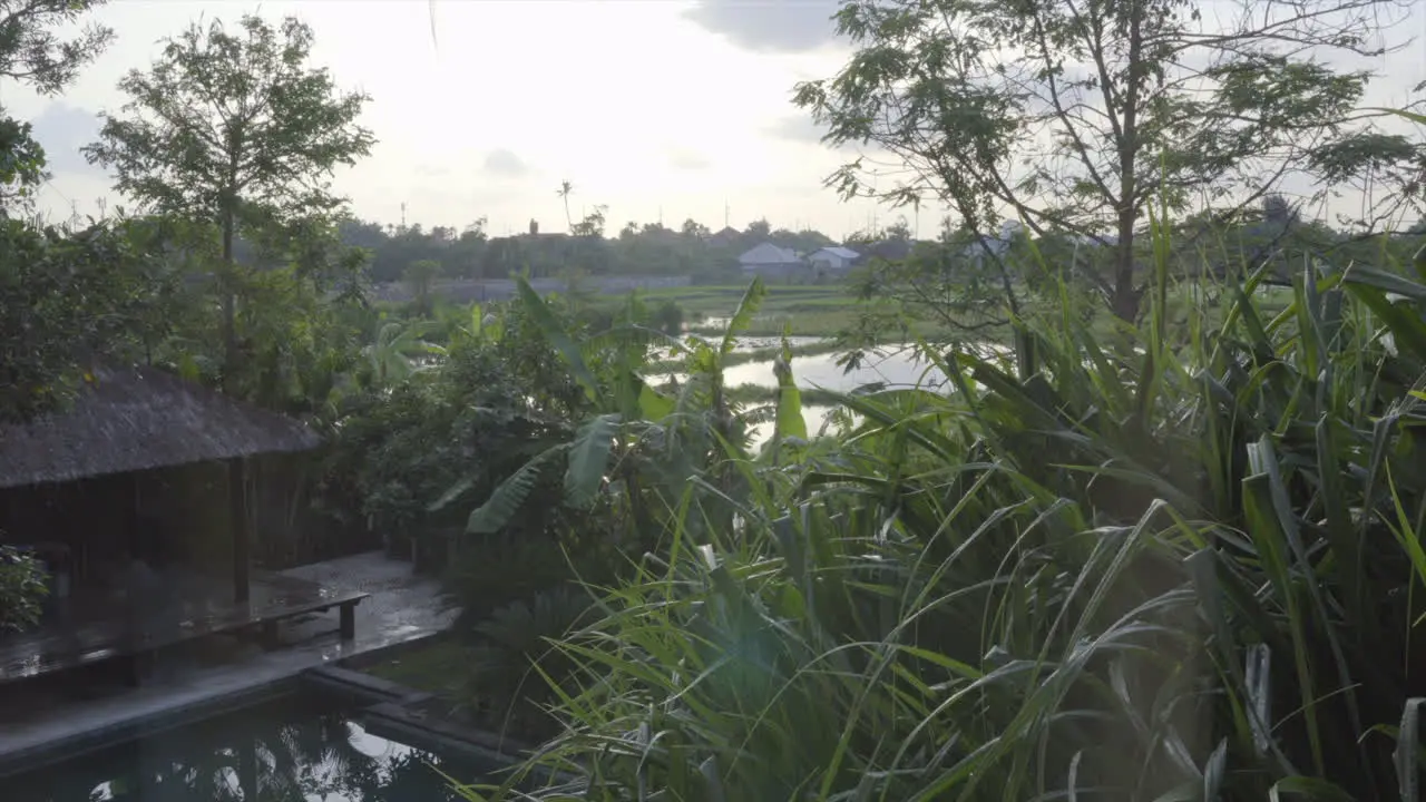 Looking outside of a window in Bali Indonesia