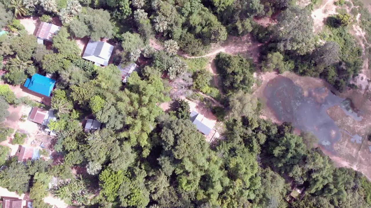 Aerial View of Forest and Plantation in Cambodian Countryside