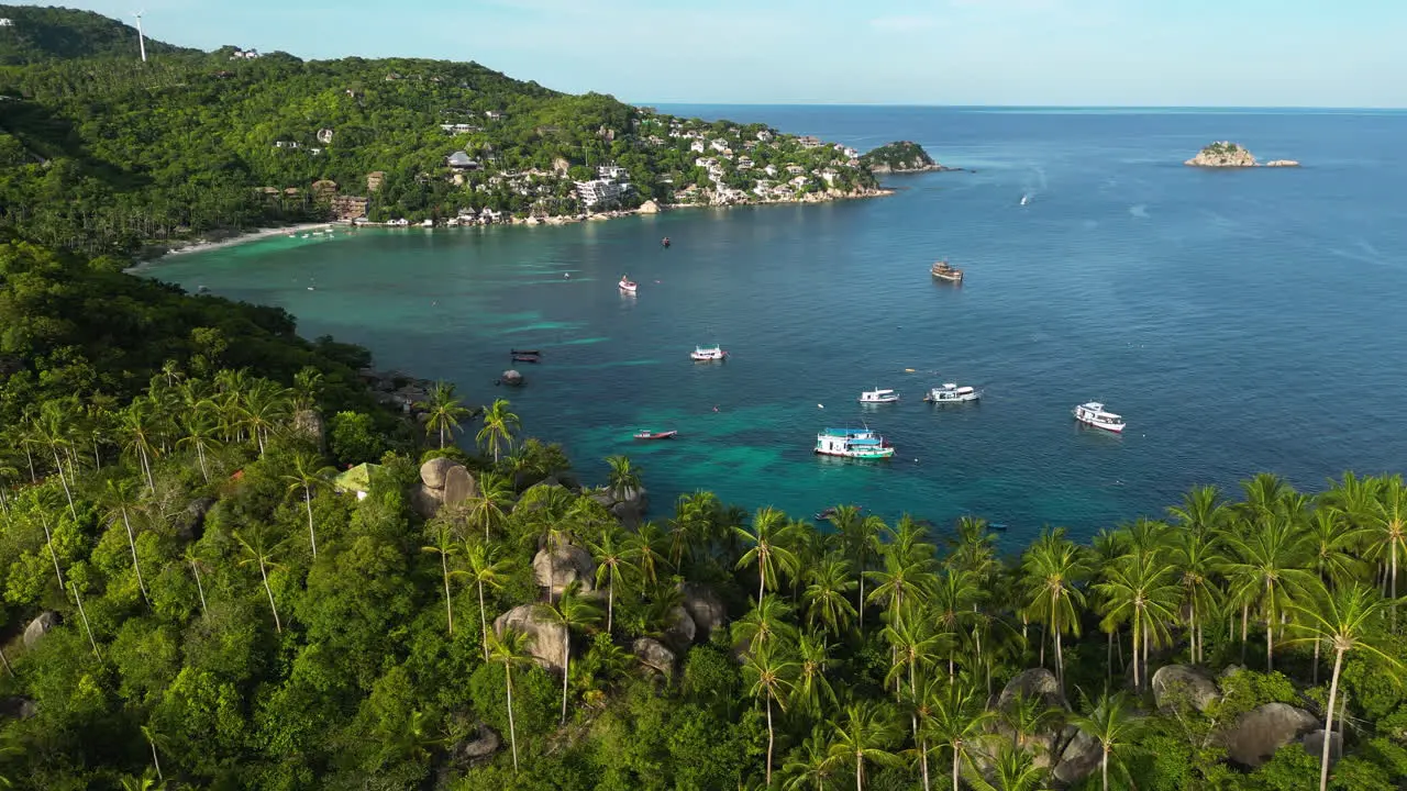 Aerial of Shark bay Koh Tao Thailand  drone above palm tree tropical beach with boat moored at ocean waiting for diving classes course for tourist