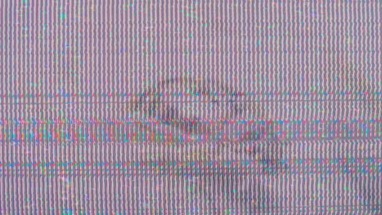 bedbug macro old VHS tape damage analog banding glitch effect overlay