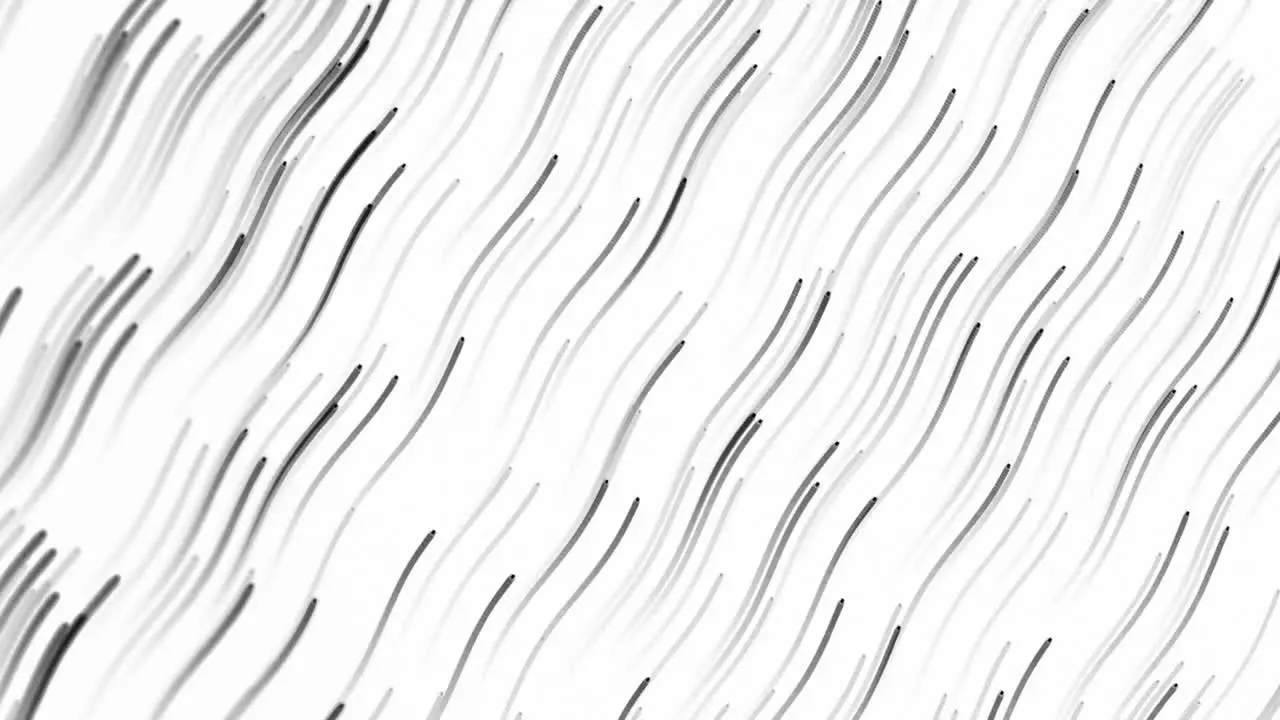 Animation of black trails on white background