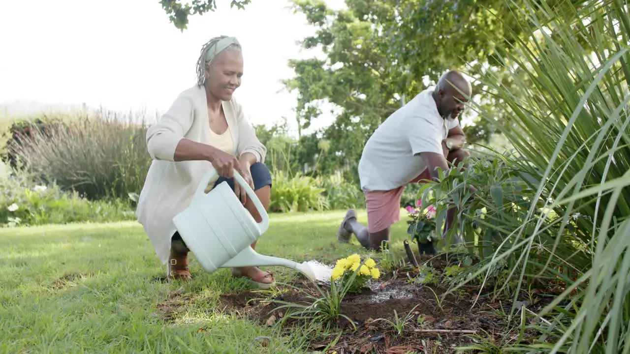 Happy african american senior couple gardening in sunny garden slow motion