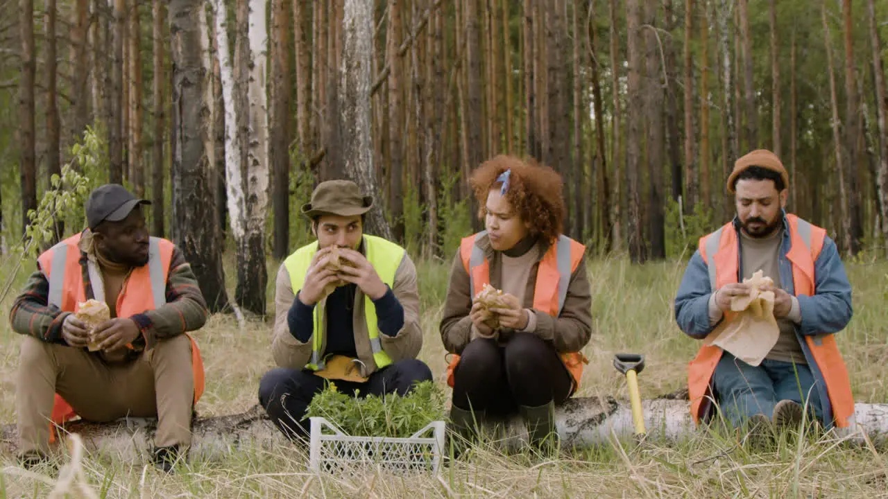 Front view of a group of multiethnic ecologist activists eating and talking in a break sitting on a trunk in the forest