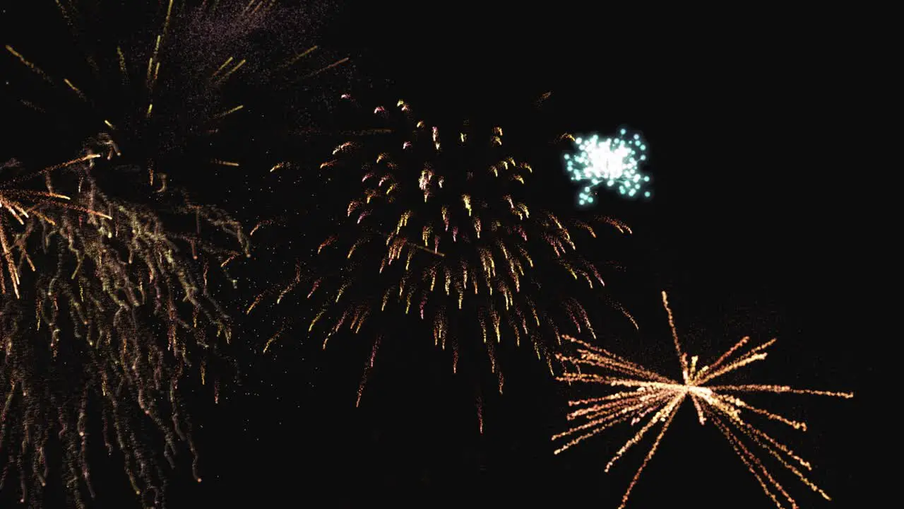 Sky covered by Fireworks during holiday celebrations