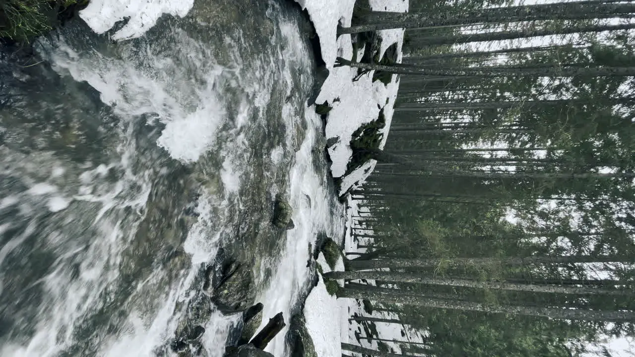 Stream water flow and rock rapid in winter forest with snow vertical orientation