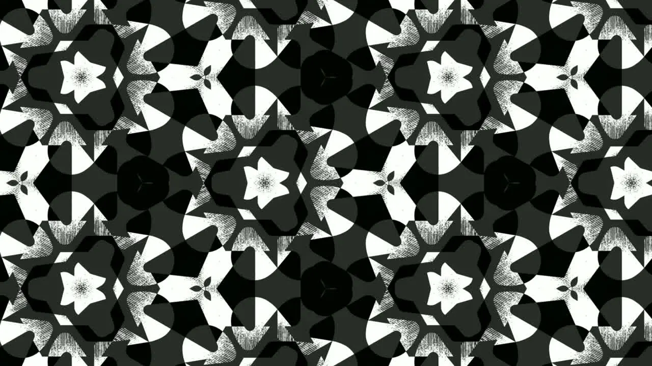 Computerized animation of black and white floral patterns popping and fading on black background