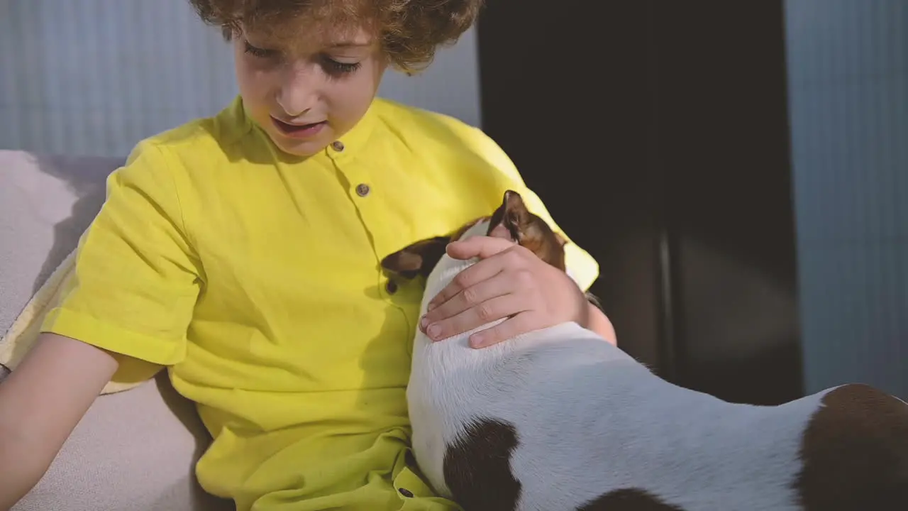 Blond Boy With Curly Hair Caresses His Dog Sitting On Sofa In Living Room