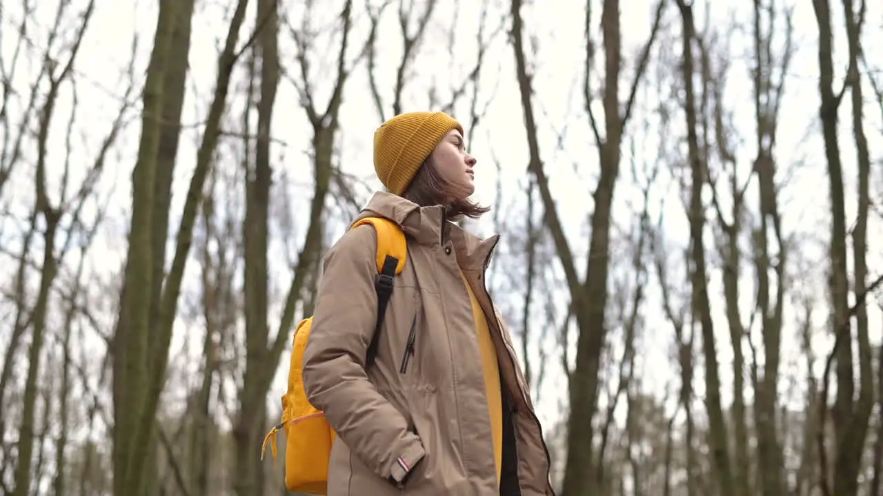 A Young Girl In A Yellow Wool Cap In The Forest Looks Up At The High Branches Of The Trees