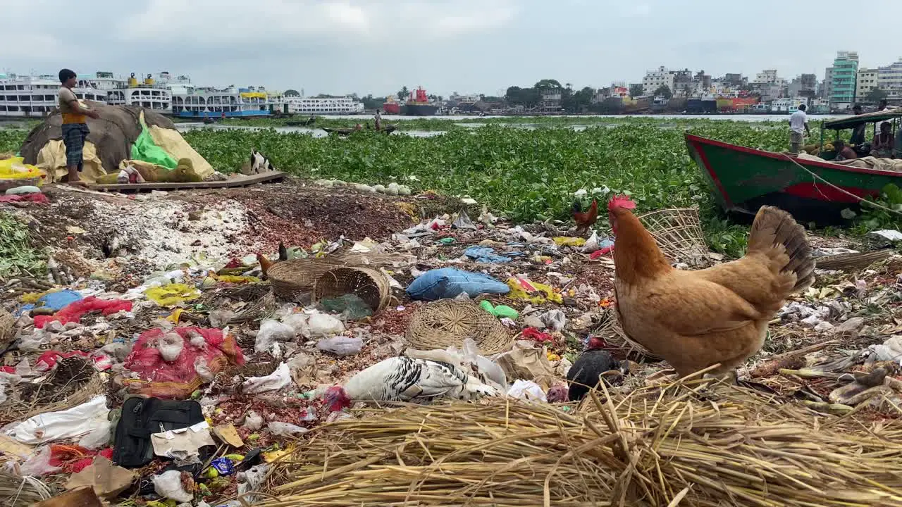 Riverside landfill