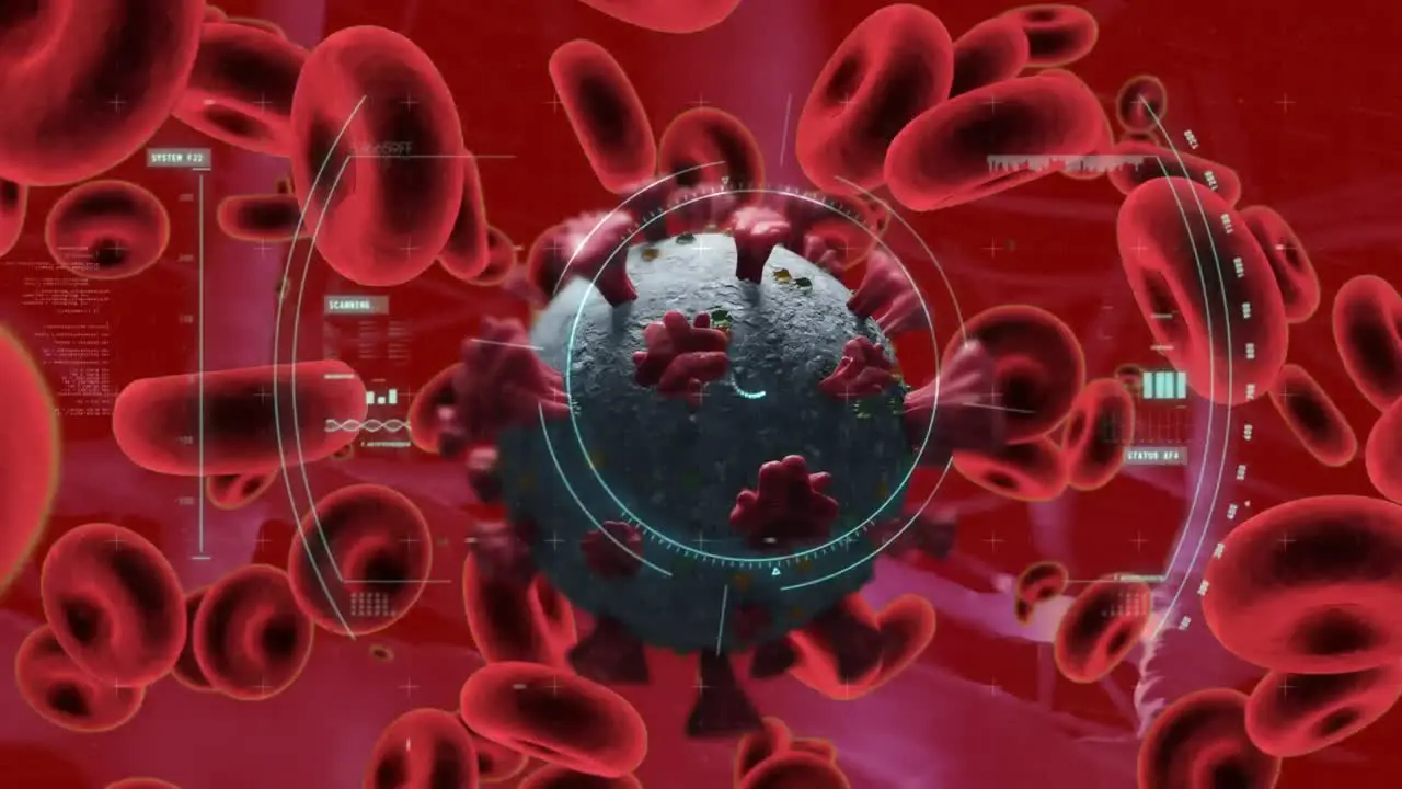 Animation of covid 19 cell and red blood cells floating with scope scanning