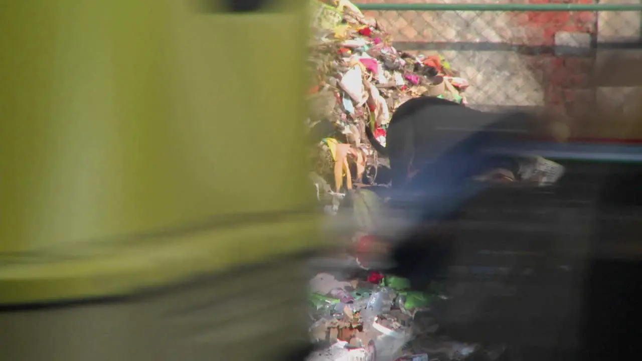 A dog in a rubbish heap by a road in India 