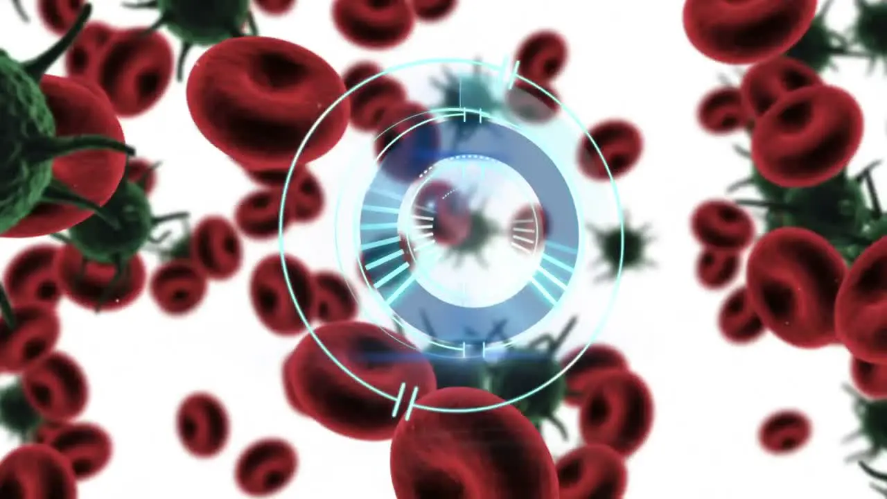 Animation of circular scanner rotating over red blood cells and covid 19 cells on white