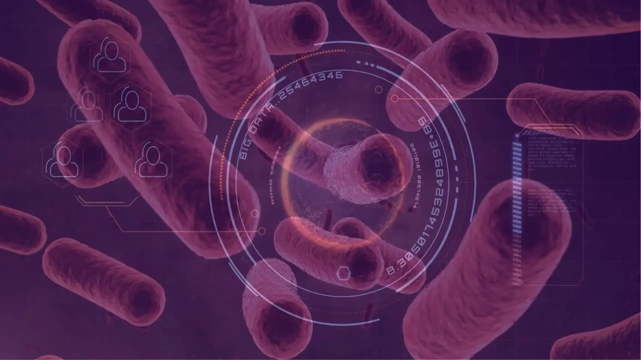 Bacterial cells in the blood stream 4k