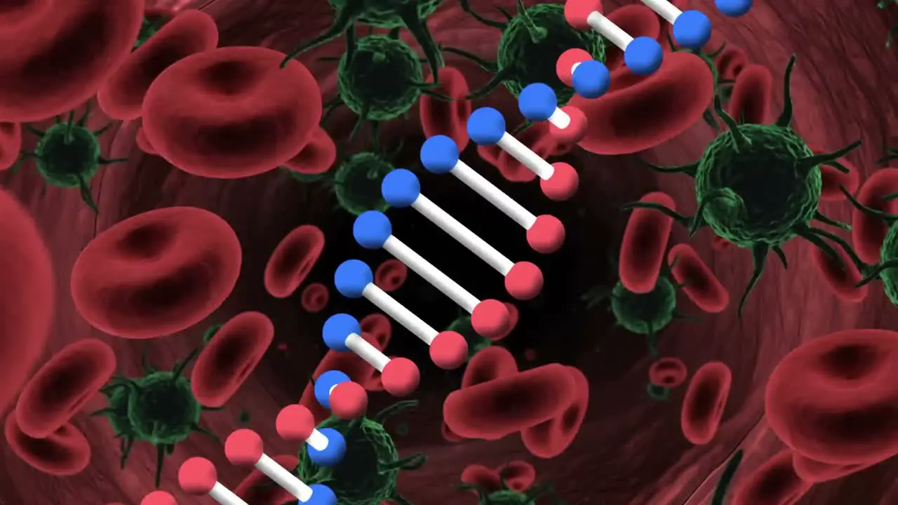 Animation of dna strand rotating over red blood cells and green covid 19 cells