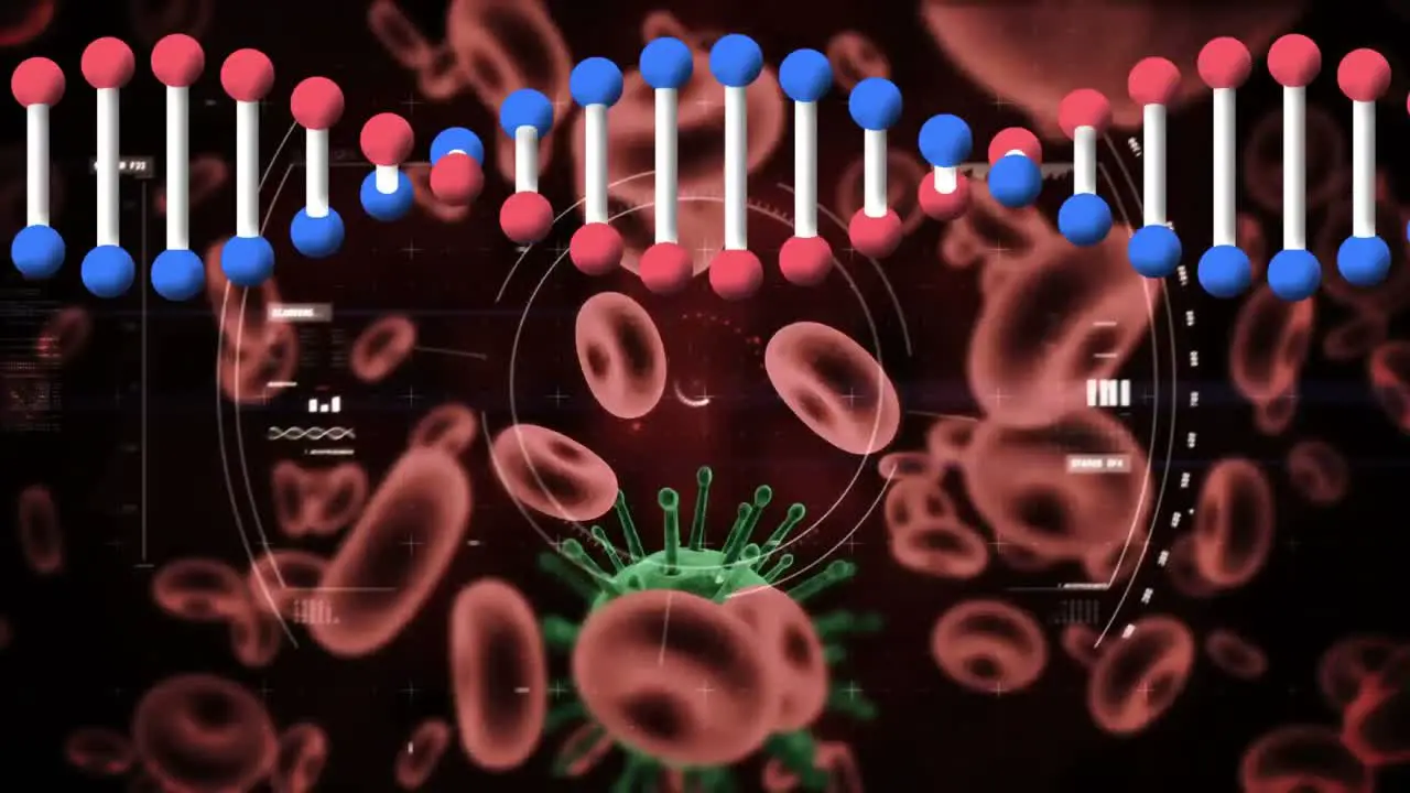 Animation of dna strand rotating over red blood cells