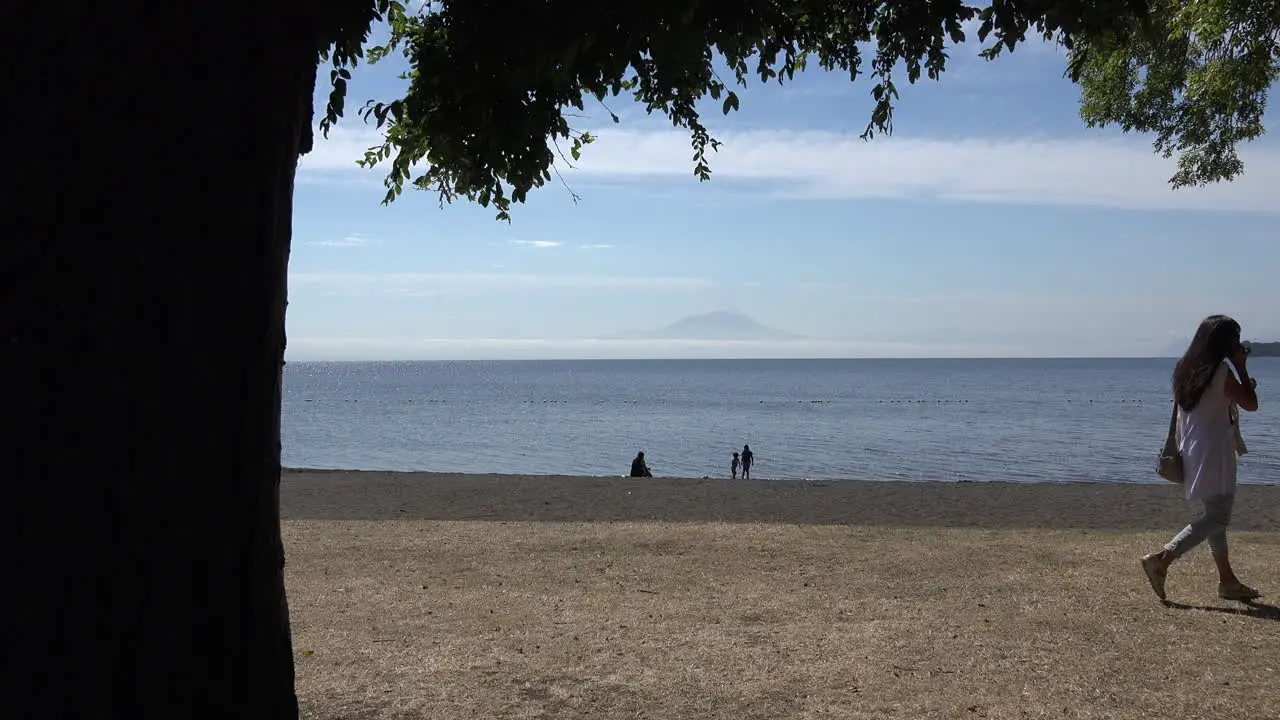 Chile Lake Llanquihue With Woman And Dog