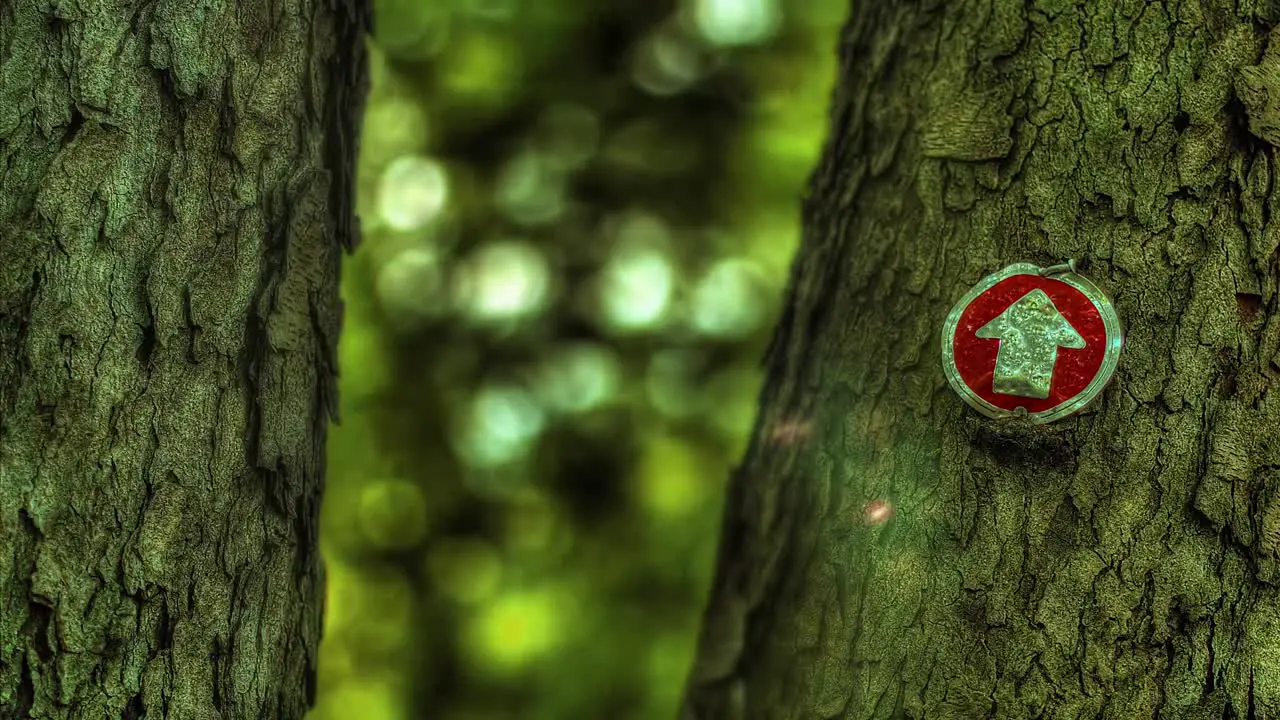 Trail Marker HDR