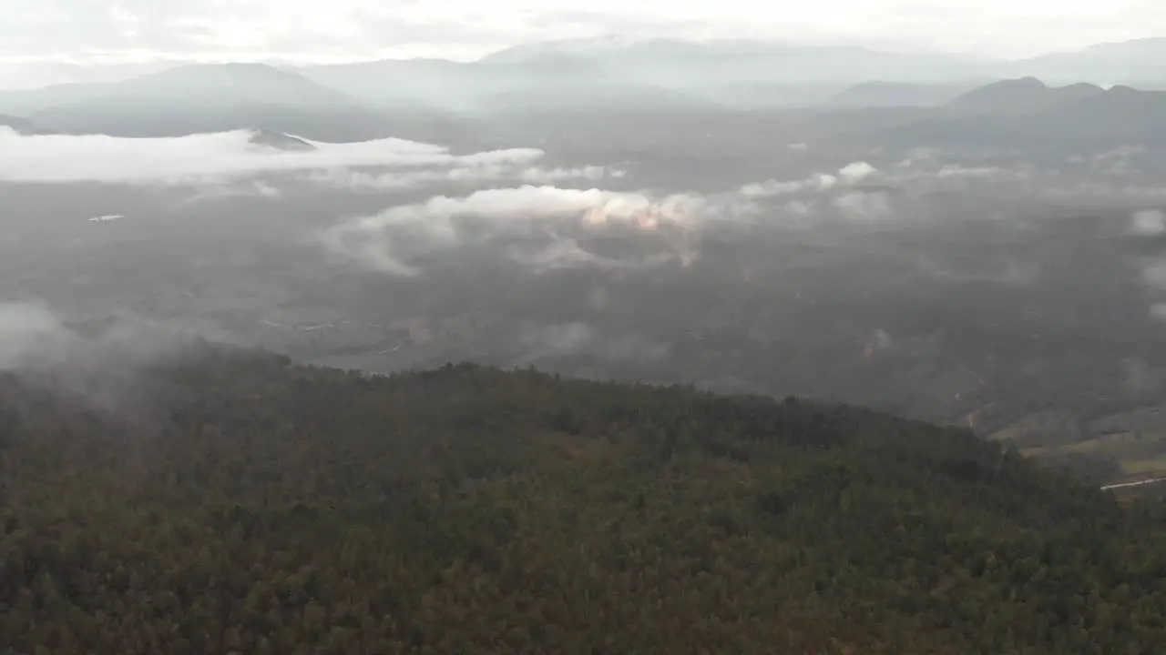 Pull front with drone above forest in a cloudy sunrise in Colombia