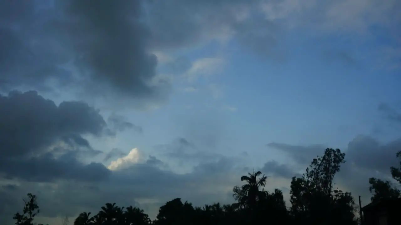 timelapse blue sky moving clouds trees in silhouette